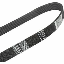 Replacement Belt PJ 1992 for 641265, 641407 Floor Scrubbers